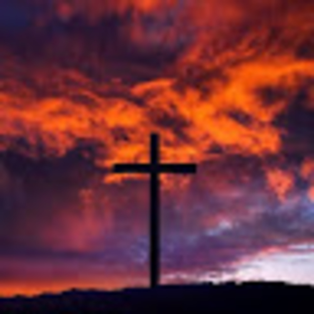 Meet your Posher, I am redeemed and